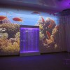Проекционный дизайн "Виртуальная реальность" базовый комплект 500 анимаций - «globural.ru» - Миасс