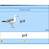 Английский язык. Освоение клавиатуры - «globural.ru» - Миасс