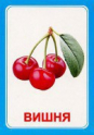 Логопедические карточки и картинки для развития речи - «globural.ru» - Миасс