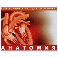 Анатомия. (Цифровой атлас школьника) - «globural.ru» - Миасс