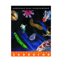 Зоология. Микрофотографии. (Цифровая база изображений) - «globural.ru» - Миасс