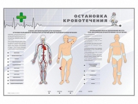 Электрифицированный стенд "Остановка кровотечения" - «globural.ru» - Миасс