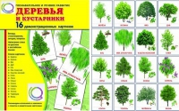 Демонстрационные карточки "Деревья и кустарники" - «globural.ru» - Миасс