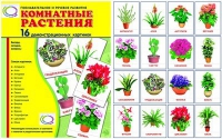 Демонстрационные карточки "Комнатные растения" - «globural.ru» - Миасс