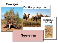 Модель-аппликация "Природные зоны России" - «globural.ru» - Миасс
