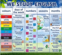 Стенд "We study english" - «globural.ru» - Миасс