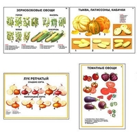 Плакаты ПРОФТЕХ "Ассортимент овощных культур" (12 пл, винил, 70х100) - «globural.ru» - Миасс