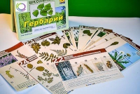 Гербарий к курсу основ общей биологии - «globural.ru» - Миасс