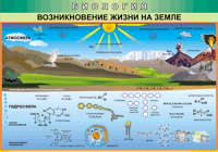 Таблица Возникновение жизни на Земле 1000*1400 винил - «globural.ru» - Миасс