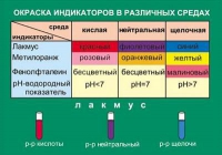 Таблица Окраска индикаторов в различных средах (винил) - «globural.ru» - Миасс