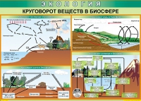 Таблица Круговорот веществ в биосфере 1000*700 винил - «globural.ru» - Миасс