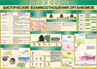 Таблица Биотические взаимоотношения организмов 1000*700 (винил) - «globural.ru» - Миасс
