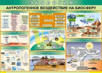 Таблица Антропогенное воздействие на биосферу 1000*700 винил - «globural.ru» - Миасс