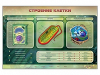 Электрифицированный стенд "Строение клетки" с маркерными полями - «globural.ru» - Миасс
