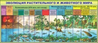 Стенд "Эволюция растительного и животного мира" - «globural.ru» - Миасс