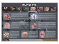Стенд "Курение" (вариант 1) - «globural.ru» - Миасс