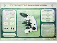 Электрифицированный стенд "Устройство микроскопа и правила работы c ним" - «globural.ru» - Миасс
