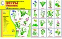 Демонстрационные карточки "Цветы полевые" - «globural.ru» - Миасс
