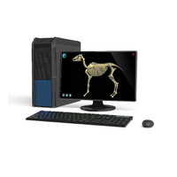 Макет масштабный «Скелет Лошади» Масштаб 1:2 - «globural.ru» - Миасс