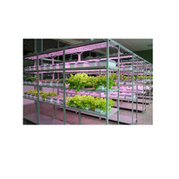 Обучающий комплект "АГРОкласс" - «globural.ru» - Миасс