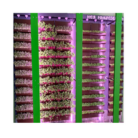 Вертикальная ферма "Моя Микрозелень" комплектация Школьная - «globural.ru» - Миасс