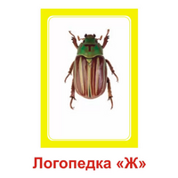 Логопедка "Ж" (логопедические карточки) - «globural.ru» - Миасс