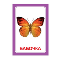 Логопедка "Ч" (логопедические карточки) - «globural.ru» - Миасс
