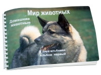 Пособие для слабовидящих "Домашние животные" - «globural.ru» - Миасс