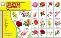 Демонстрационные карточки "Цветы садовые" - «globural.ru» - Миасс