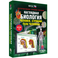 Наглядная биология. Человек. Строение тела человека - «globural.ru» - Миасс