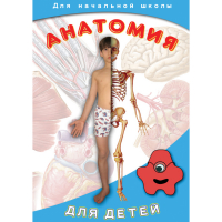 DVD  Анатомия для детей - «globural.ru» - Миасс