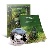 Электронное наглядное пособие «Птицы» - «globural.ru» - Миасс