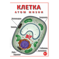 DVD Клетка - "атом жизни" - «globural.ru» - Миасс