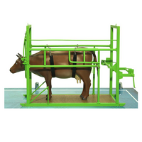 Наглядный макет «Методы и устройства для фиксации КРС» - «globural.ru» - Миасс