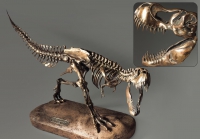 Модель скелета динозавра Tyrannosaurus - «globural.ru» - Миасс
