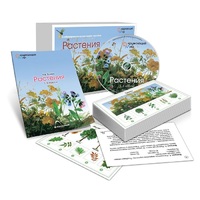 Комбинированное наглядное пособие «Растения» - «globural.ru» - Миасс
