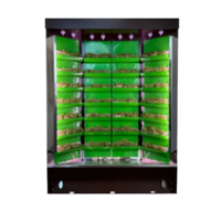 Вертикальная ферма "Моя Микрозелень" комплектация "Театро настольная" - «globural.ru» - Миасс