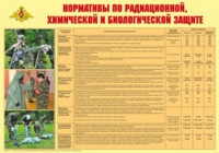 Плакат "Нормативы по радиационной, химической и биологической защите" - «globural.ru» - Миасс