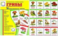 Демонстрационные карточки  "Грибы съедобные и не съедобные" - «globural.ru» - Миасс