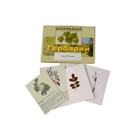 Гербарий "Деревья и кустарники" (22 вида, с иллюстрациями) - «globural.ru» - Миасс