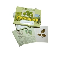Гербарий "Дикорастущие растения" (30 видов, с иллюстрациями) - «globural.ru» - Миасс