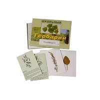 Гербарий "Лекарственные растения" (22 вида, с иллюстрациями) - «globural.ru» - Миасс