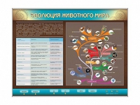 Интерактивный электрифицированный стенд "Эволюция животного мира" - «globural.ru» - Миасс