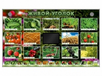 Комплект оборудования "Живой уголок" (растения) - «globural.ru» - Миасс