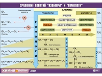 Таблица демонстрационная "Сравнение понятий изомер и гомолог" (винил 100х140) - «globural.ru» - Миасс