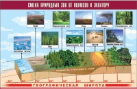Таблица демонстрационная "Смена природных зон от полюсов к экватору" (винил 70x100) - «globural.ru» - Миасс
