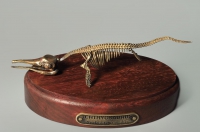 Модель скелета ихтиозавра Ichthyosaurus - «globural.ru» - Миасс