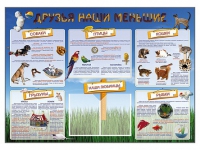 Стенд-уголок "Друзья наши меньшие" - «globural.ru» - Миасс