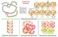 Плакаты и таблицы по общей химии - «globural.ru» - Миасс