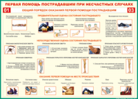  Таблица Общий порядок оказания первой помощи пострадавшим 1000*1400 винил	 - «globural.ru» - Миасс